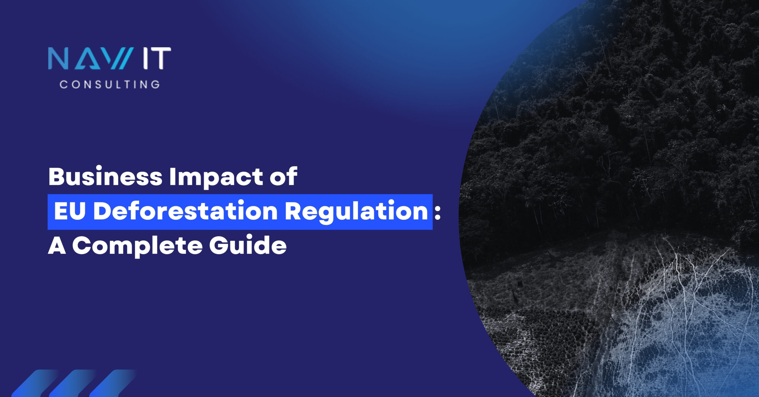 EU Deforestation Regulation